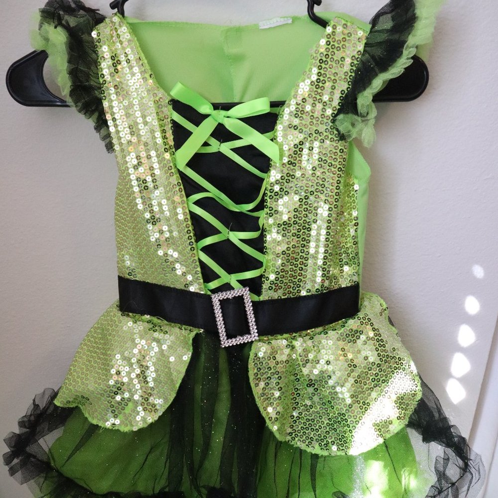 Witch Sparkle Green Halloween Costume